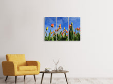 Laden Sie das Bild in den Galerie-Viewer, Leinwandbild 3-teilig Tulpen ragen zum Himmel