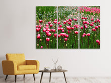 Laden Sie das Bild in den Galerie-Viewer, Leinwandbild 3-teilig Wildes Tulpenfeld
