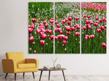 Laden Sie das Bild in den Galerie-Viewer, Leinwandbild 3-teilig Wildes Tulpenfeld