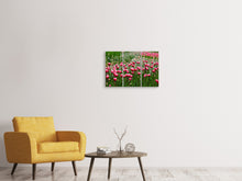Laden Sie das Bild in den Galerie-Viewer, Leinwandbild 3-teilig Wildes Tulpenfeld
