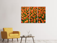 Laden Sie das Bild in den Galerie-Viewer, Leinwandbild 3-teilig Tulpenfeld in orange