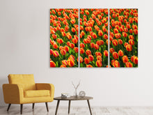Laden Sie das Bild in den Galerie-Viewer, Leinwandbild 3-teilig Tulpenfeld in orange