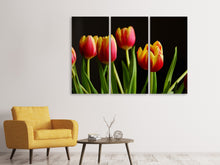 Laden Sie das Bild in den Galerie-Viewer, Leinwandbild 3-teilig Farbenfrohe Tulpen