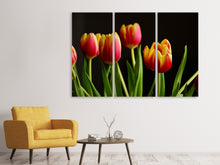 Laden Sie das Bild in den Galerie-Viewer, Leinwandbild 3-teilig Farbenfrohe Tulpen