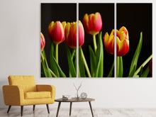Laden Sie das Bild in den Galerie-Viewer, Leinwandbild 3-teilig Farbenfrohe Tulpen