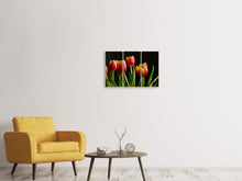 Laden Sie das Bild in den Galerie-Viewer, Leinwandbild 3-teilig Farbenfrohe Tulpen