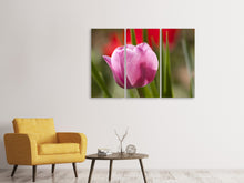 Laden Sie das Bild in den Galerie-Viewer, Leinwandbild 3-teilig Tulpe pretty in pink