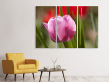 Laden Sie das Bild in den Galerie-Viewer, Leinwandbild 3-teilig Tulpe pretty in pink