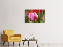 Laden Sie das Bild in den Galerie-Viewer, Leinwandbild 3-teilig Tulpe pretty in pink