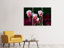 Laden Sie das Bild in den Galerie-Viewer, Leinwandbild 3-teilig Die Schönheit der Tulpen