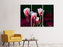 Laden Sie das Bild in den Galerie-Viewer, Leinwandbild 3-teilig Die Schönheit der Tulpen
