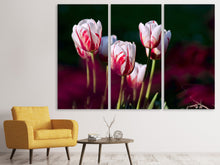 Laden Sie das Bild in den Galerie-Viewer, Leinwandbild 3-teilig Die Schönheit der Tulpen