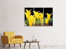 Laden Sie das Bild in den Galerie-Viewer, Leinwandbild 3-teilig Gelbe Tulpen in der Natur