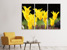 Laden Sie das Bild in den Galerie-Viewer, Leinwandbild 3-teilig Gelbe Tulpen in der Natur