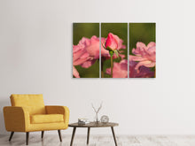 Laden Sie das Bild in den Galerie-Viewer, Leinwandbild 3-teilig Die Rosenknospe