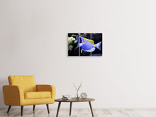 Laden Sie das Bild in den Galerie-Viewer, Leinwandbild 3-teilig Der Weisskehl Doktorfisch