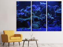 Laden Sie das Bild in den Galerie-Viewer, Leinwandbild 3-teilig Korallenriff in blau