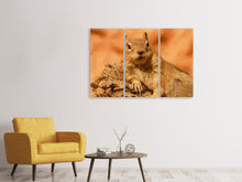 Laden Sie das Bild in den Galerie-Viewer, Leinwandbild 3-teilig Süsses Eichhörnchen
