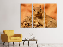 Laden Sie das Bild in den Galerie-Viewer, Leinwandbild 3-teilig Süsses Eichhörnchen