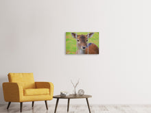 Laden Sie das Bild in den Galerie-Viewer, Leinwandbild 3-teilig Süsses Reh