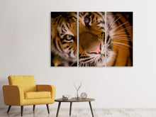 Laden Sie das Bild in den Galerie-Viewer, Leinwandbild 3-teilig Tiger Gesicht