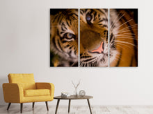 Laden Sie das Bild in den Galerie-Viewer, Leinwandbild 3-teilig Tiger Gesicht