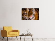Laden Sie das Bild in den Galerie-Viewer, Leinwandbild 3-teilig Tiger Gesicht