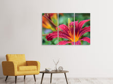 Laden Sie das Bild in den Galerie-Viewer, Leinwandbild 3-teilig Lilien Blüte in pink XL