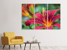 Laden Sie das Bild in den Galerie-Viewer, Leinwandbild 3-teilig Lilien Blüte in pink XL