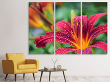 Laden Sie das Bild in den Galerie-Viewer, Leinwandbild 3-teilig Lilien Blüte in pink XL