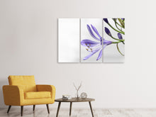Laden Sie das Bild in den Galerie-Viewer, Leinwandbild 3-teilig Lilien Blüte in lila