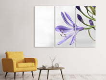 Laden Sie das Bild in den Galerie-Viewer, Leinwandbild 3-teilig Lilien Blüte in lila
