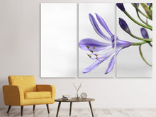Laden Sie das Bild in den Galerie-Viewer, Leinwandbild 3-teilig Lilien Blüte in lila