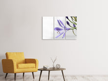 Laden Sie das Bild in den Galerie-Viewer, Leinwandbild 3-teilig Lilien Blüte in lila