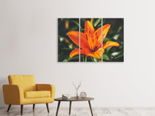 Laden Sie das Bild in den Galerie-Viewer, Leinwandbild 3-teilig Lilien Blüte in orange XL