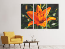 Laden Sie das Bild in den Galerie-Viewer, Leinwandbild 3-teilig Lilien Blüte in orange XL