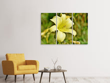 Laden Sie das Bild in den Galerie-Viewer, Leinwandbild 3-teilig Lilien Blüte in gelb