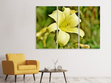 Laden Sie das Bild in den Galerie-Viewer, Leinwandbild 3-teilig Lilien Blüte in gelb