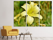 Laden Sie das Bild in den Galerie-Viewer, Leinwandbild 3-teilig Lilien Blüte in gelb