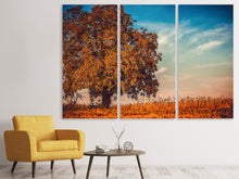 Laden Sie das Bild in den Galerie-Viewer, Leinwandbild 3-teilig Der Nussbaum