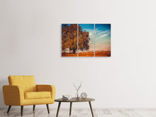 Laden Sie das Bild in den Galerie-Viewer, Leinwandbild 3-teilig Der Nussbaum
