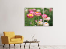 Laden Sie das Bild in den Galerie-Viewer, Leinwandbild 3-teilig Blumen des Frühlings