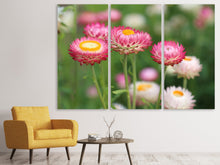 Laden Sie das Bild in den Galerie-Viewer, Leinwandbild 3-teilig Blumen des Frühlings