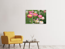 Laden Sie das Bild in den Galerie-Viewer, Leinwandbild 3-teilig Blumen des Frühlings