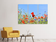 Laden Sie das Bild in den Galerie-Viewer, Leinwandbild 3-teilig Der Mohn in der Blumenwiese