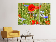 Laden Sie das Bild in den Galerie-Viewer, Leinwandbild 3-teilig Der wilde Mohn XL