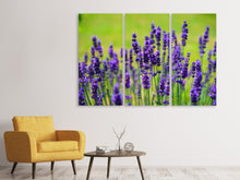 Laden Sie das Bild in den Galerie-Viewer, Leinwandbild 3-teilig Schöner Lavendel