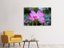 Laden Sie das Bild in den Galerie-Viewer, Leinwandbild 3-teilig Wunderschöne Lotus