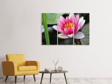 Laden Sie das Bild in den Galerie-Viewer, Leinwandbild 3-teilig Die Seerose in pink