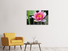 Laden Sie das Bild in den Galerie-Viewer, Leinwandbild 3-teilig Die Seerose in pink